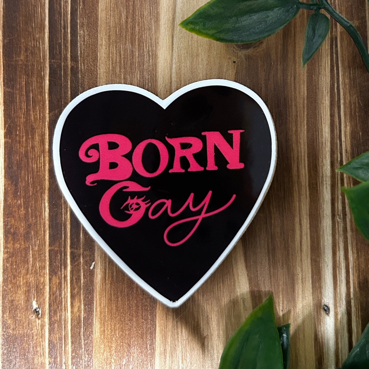 Born Gay Sticker and Wooden Pin Set LGBTQIA+ Pride Accessory